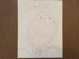 Learn How to DRAW Realistic Burrowing Owl - ART with Albright